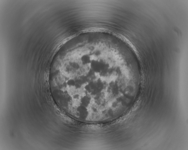 X0000111580937200908131315