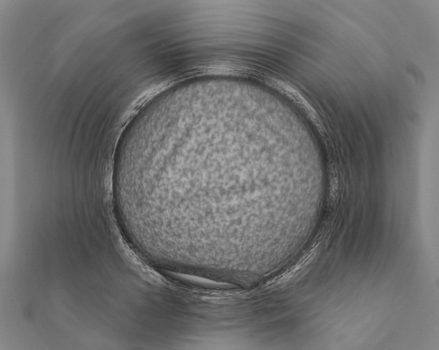 X0000111580938200908131315