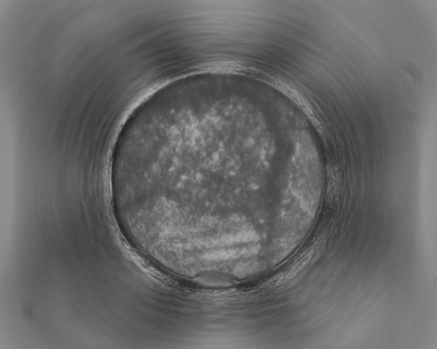 X0000111580939200908131315