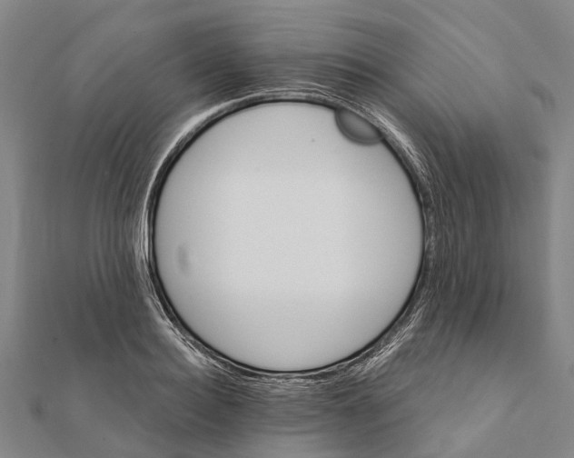 X0000111580940200908131315