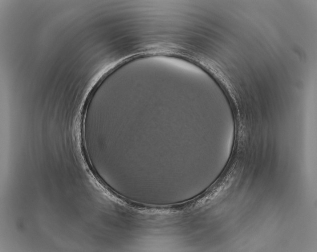 X0000111580941200908131315