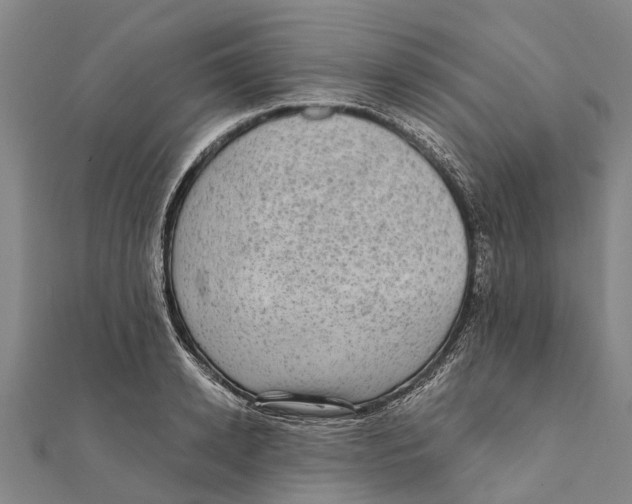 X0000111580942200908131315