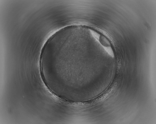 X0000111580943200908131315