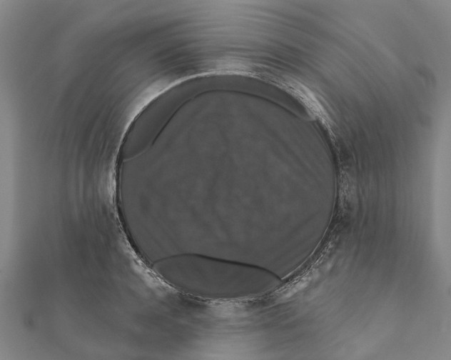 X0000111580944200908131315