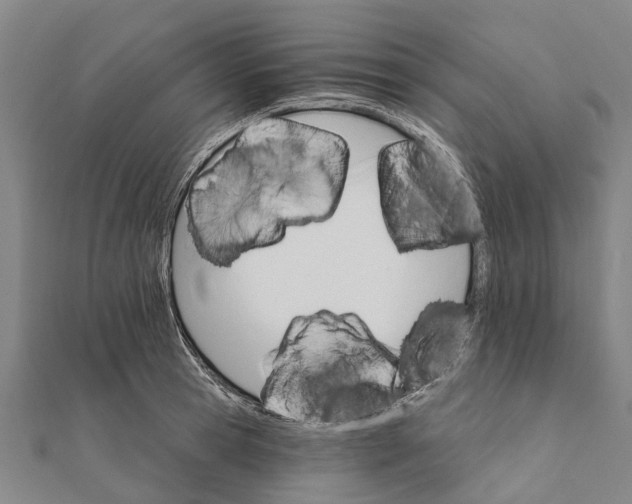 X0000111580945200908131315