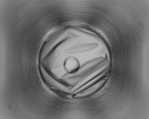 X0000111580946200908131316