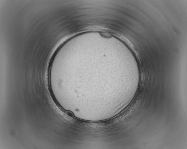 X0000111580947200908131316