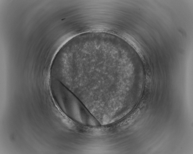 X0000111580948200908131316