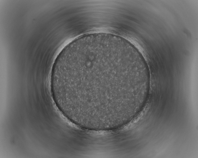 X0000111580949200908131316