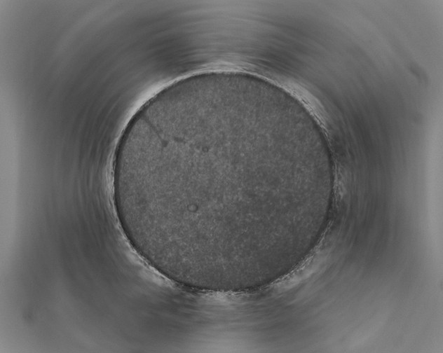 X0000111580950200908131316