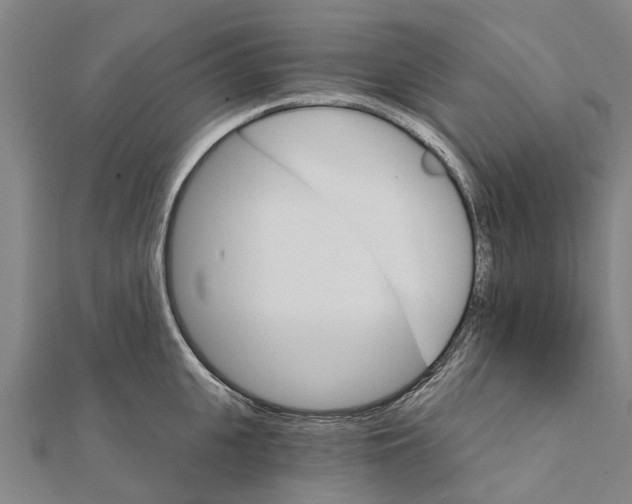 X0000111580951200908131316