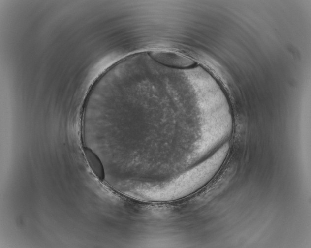 X0000111580952200908131316