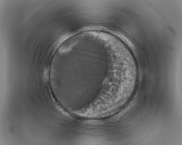 X0000111580953200908131316