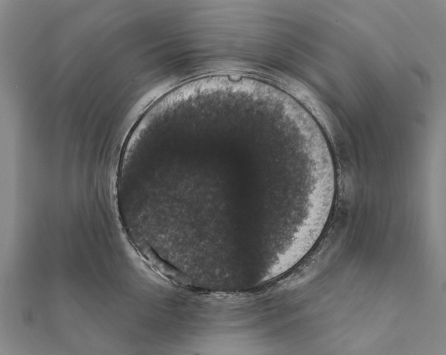 X0000111580954200908131316