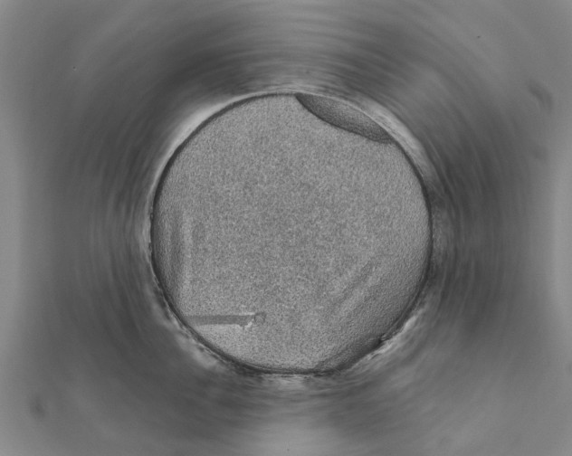 X0000111580956200908131316