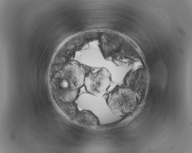 X0000111580957200908131316