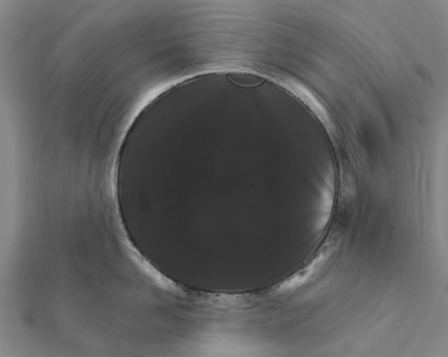 X0000111580958200908131316