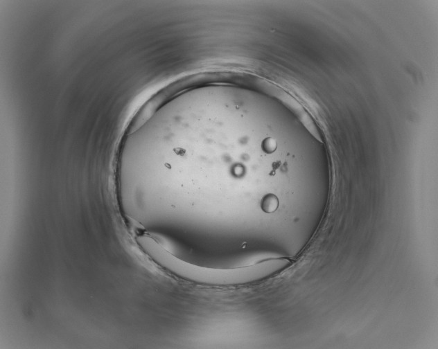 X0000111580960200908131316