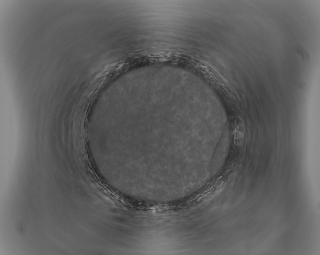 X0000111580961200908131315