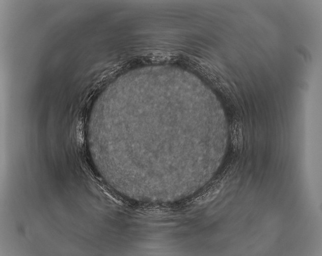 X0000111580962200908131315