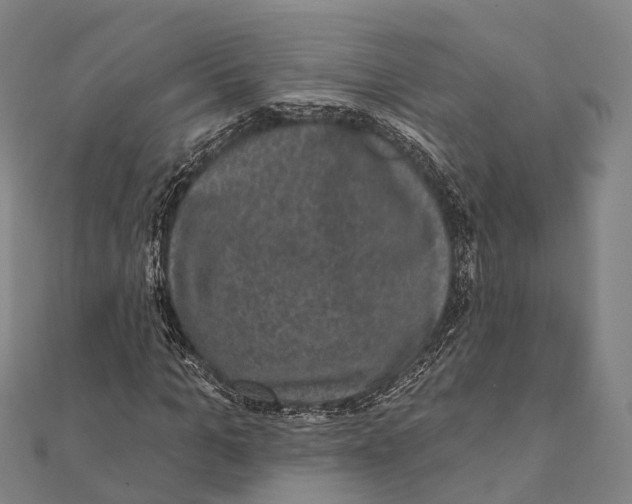 X0000111580965200908131315