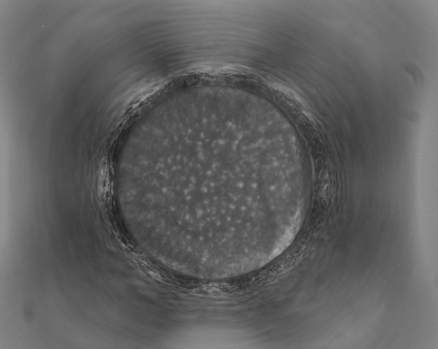 X0000111580966200908131315