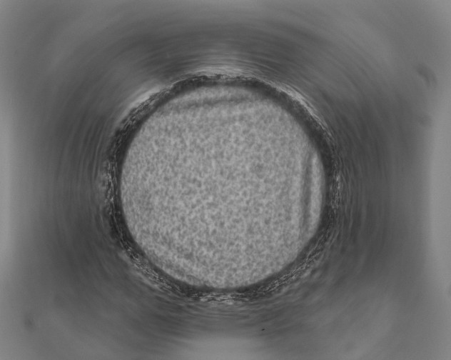 X0000111580967200908131315