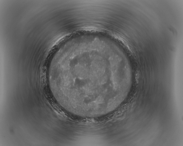 X0000111580968200908131315