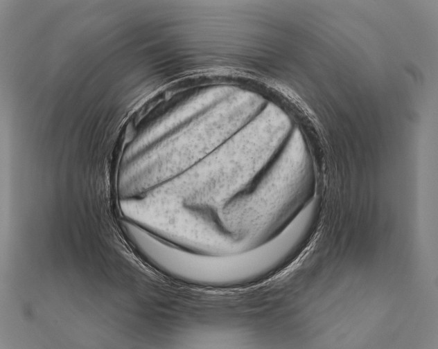 X0000111580969200908131315