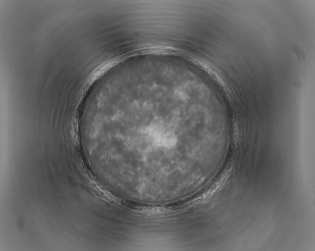 X0000111580970200908131315