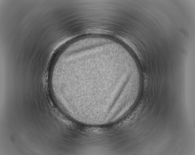 X0000111580971200908131315