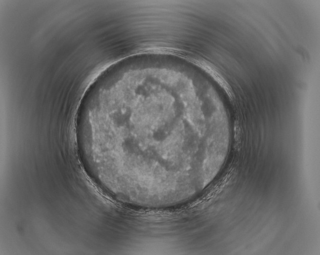 X0000111580972200908131315