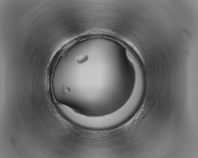 X0000111580973200908131315