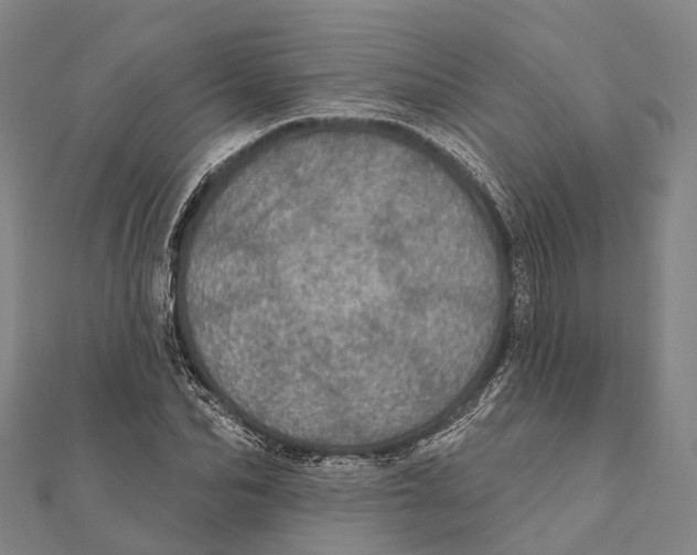 X0000111580974200908131315