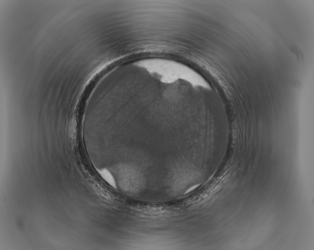 X0000111580975200908131315