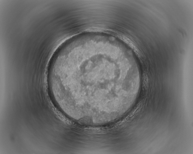 X0000111580976200908131315