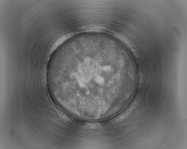 X0000111580978200908131315