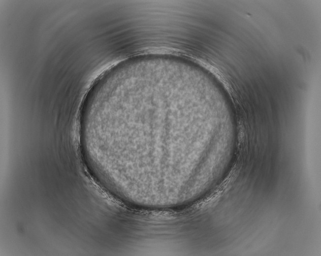 X0000111580979200908131315