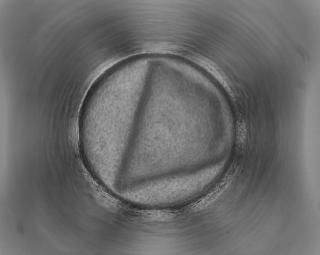 X0000111580980200908131315