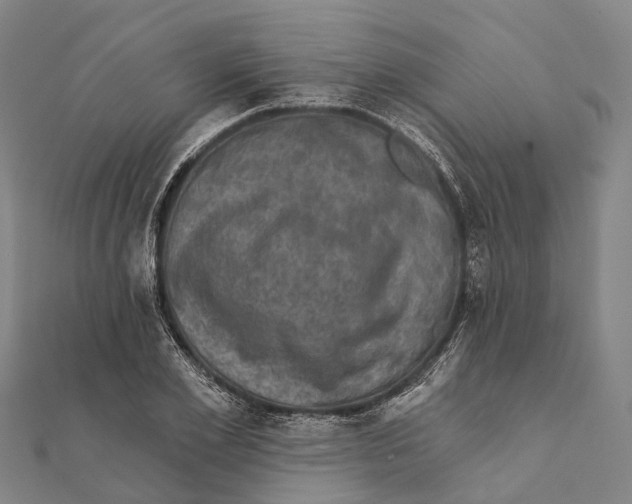 X0000111580981200908131315