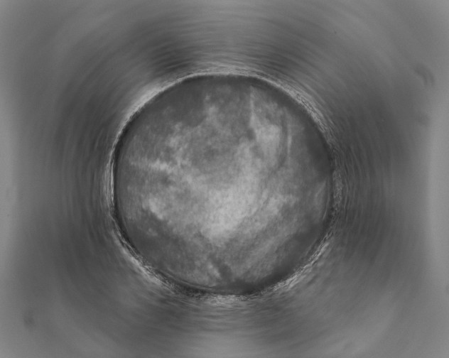 X0000111580982200908131315