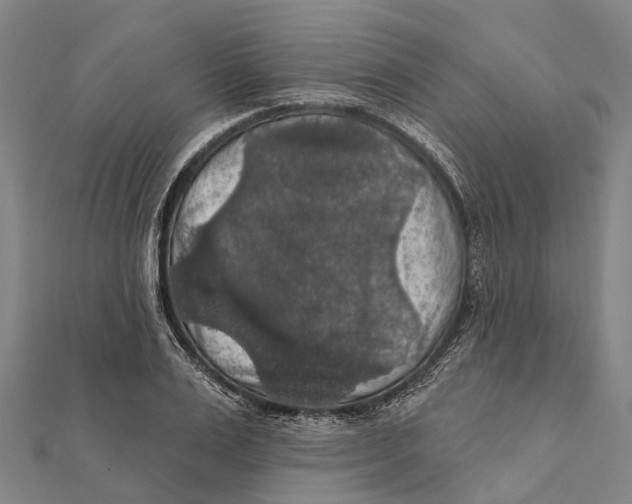 X0000111580983200908131315