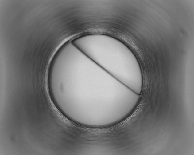 X0000111580984200908131315