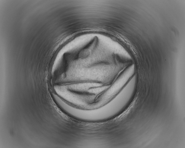 X0000111580985200908131315