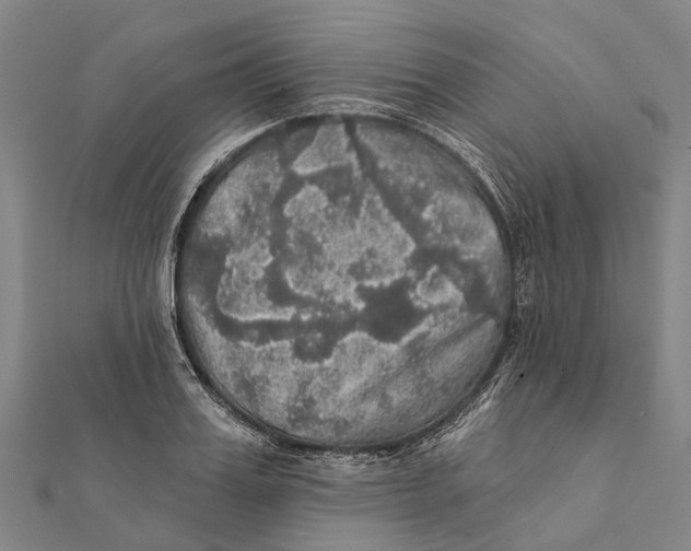 X0000111580987200908131315