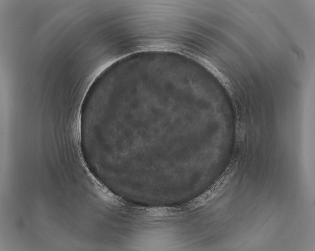 X0000111580988200908131315