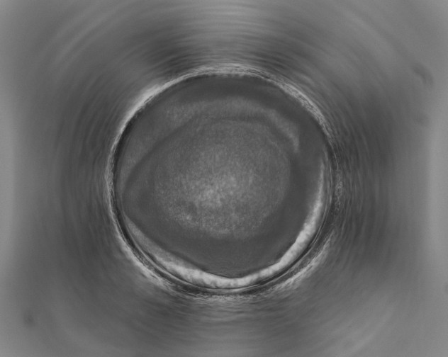 X0000111580989200908131315