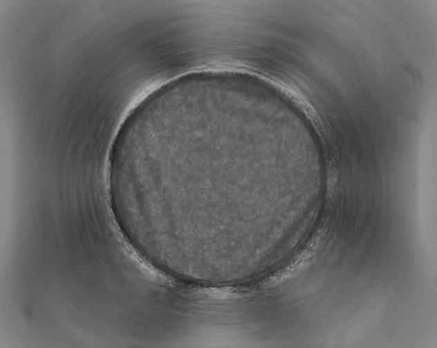 X0000111580990200908131315