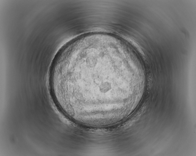 X0000111580991200908131315