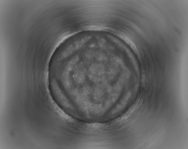 X0000111580992200908131315